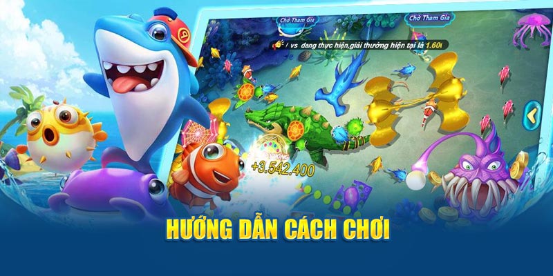 Hướng dẫn cách chơi 