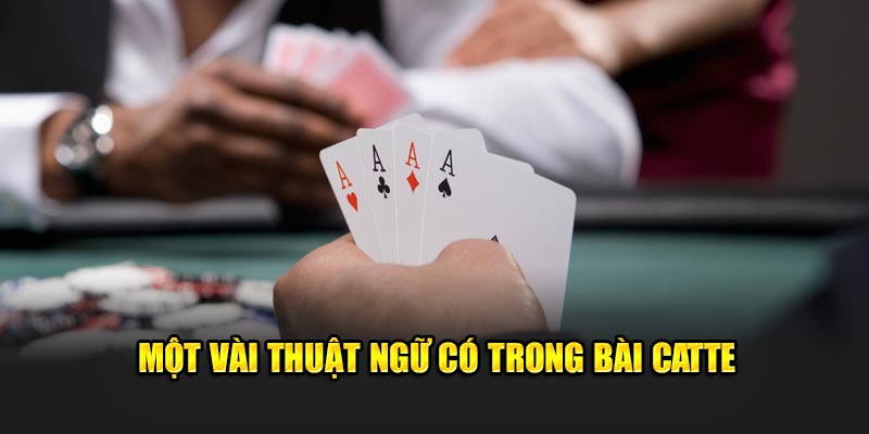     Một vài thuật ngữ có trong bài catte 