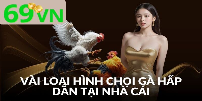 Khám phá một vài siêu phẩm hấp dẫn khi tham gia đá gà 69VN